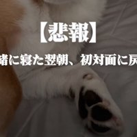 文字