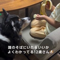 何度もあげる息子さん