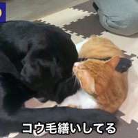 夜も仲良く過ごしているかと思いきや…