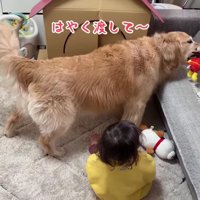 「これはほのちゃんのだよ！」