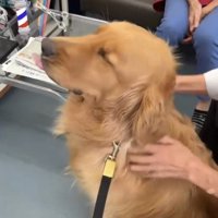 背中をマッサージ