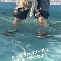 プールに来たぽんずちゃん