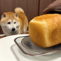 ふわふわもちもちの仕上がり
