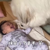 初めて笑いかけてくれた！