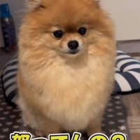 「本当に大丈夫…？」