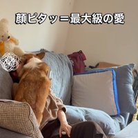エルモちゃんのおもてなし6