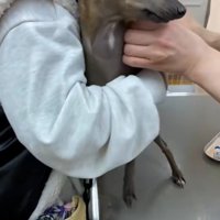 先生をにらむティナちゃん1