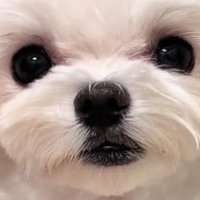 事実