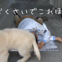 「ふざけてるだけ？付き合いきれん」