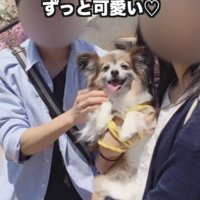 たくさんの幸せをありがとう