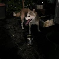 無事捕獲に成功！！