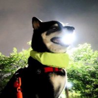 わざ