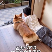 波長が合うふたり
