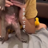 リバくんが2歳になるまで