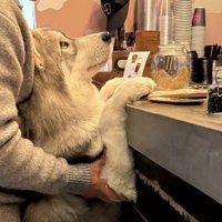 たまらない上目遣い