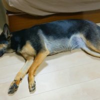 まさかのスルー！