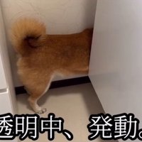 動かないロックくん
