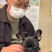 顔を上げたぶーちゃん