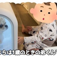男の子が1歳の時の様子