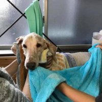 6年間よく頑張ったね