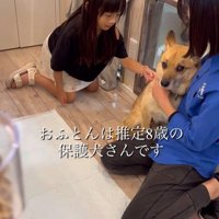 おふとん君の変化