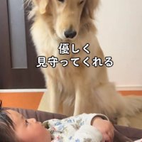 優しい眼差しで見守り