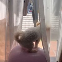 なんとかバランスを維持