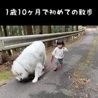 シュシュちゃんは良きお姉ちゃんに