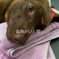 脳障害との戦いが始まった