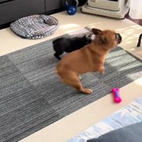 仲良しな2匹にホッコリ
