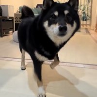 仮病を使うもずくちゃん