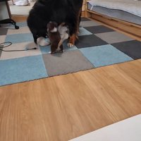 大はしゃぎ！