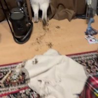 悪びれない姿にクスッ