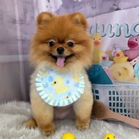 笑顔が可愛いなつめちゃん♡