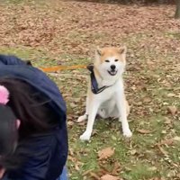 「すごいでしょ？」
