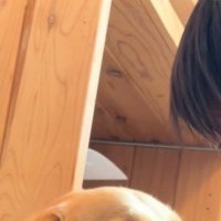 男の子が向かった先は…