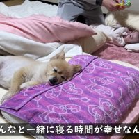 平和な夜のひととき