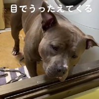 「あのボールを…」