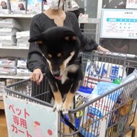 「絶対行きたくない！帰ろうよ～」