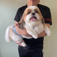 ニコニコ