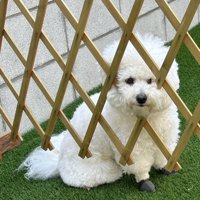 すり抜ける