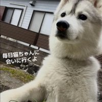 毎日会いに行くROSEちゃん