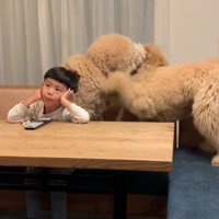 動じない男の子に感嘆！！