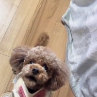 「お願い、行かないで…！」