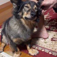 目をつぶるマックくん