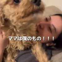 横になっている女性の体の上に乗る犬