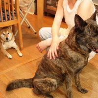 背中を向けてお座り