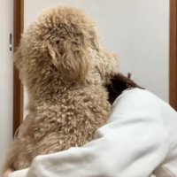 カムくんを抱きしめる投稿主さん