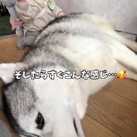 すぐに寄り添い合う2人