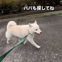 歩く犬2